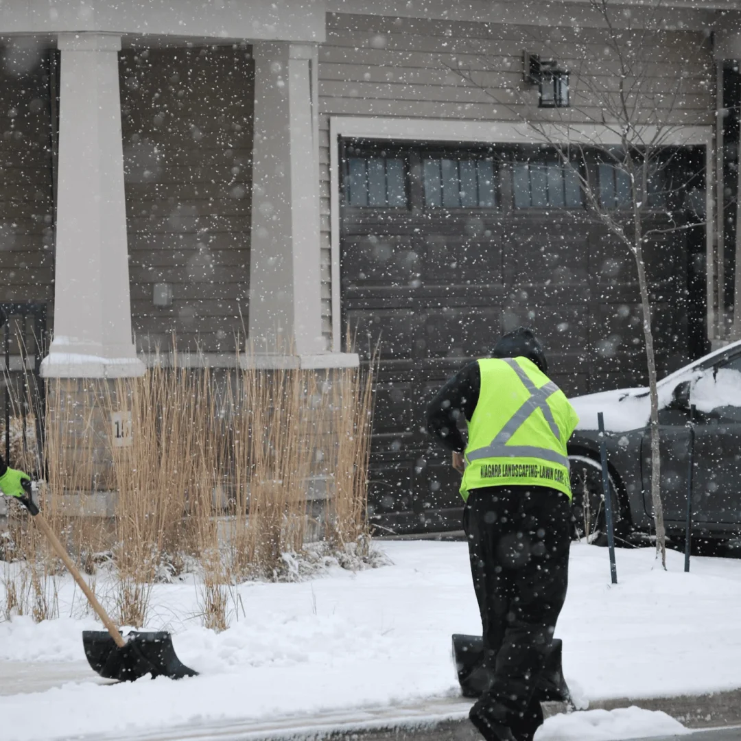 Screenshot 2025-02-08 at 2.28.24 PM